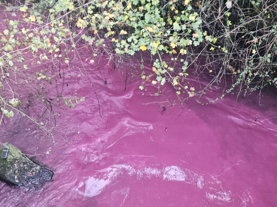 Corso d'acqua tracciato con colorante